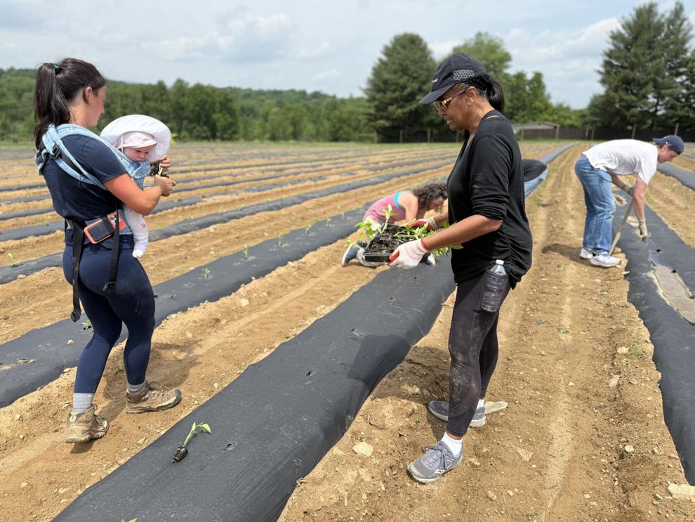 JKCF PLant-a-thon 2025