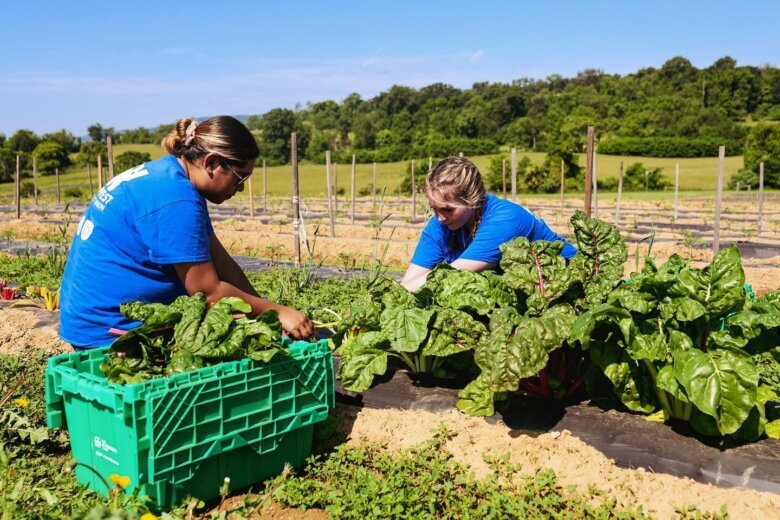 2024-Farm-volunteers